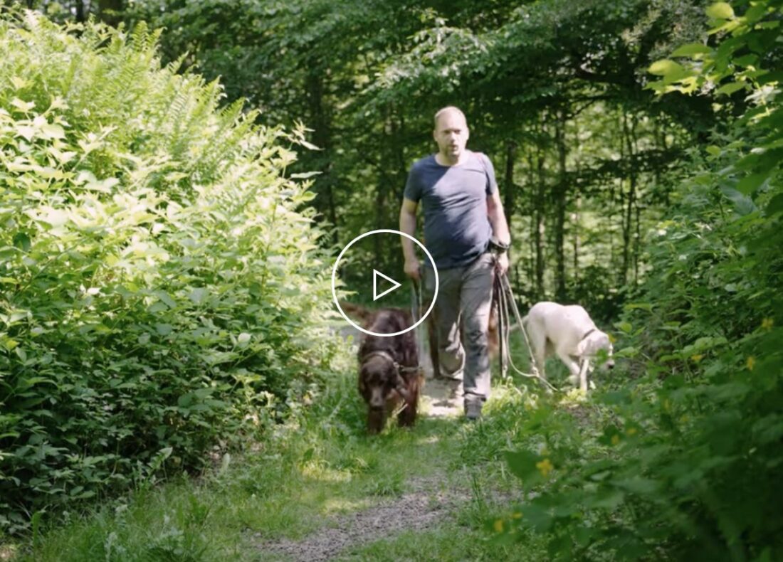 Karriere bei moldtech